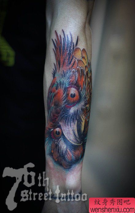 手臂流行经典的一幅彩色猫头鹰纹身图案