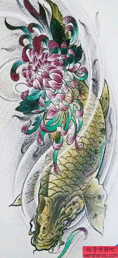 精美流行的一幅鲤鱼纹身手稿