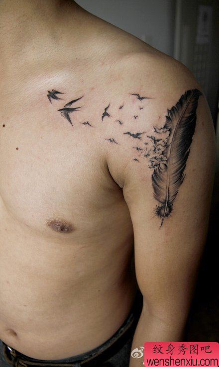 男生手臂流行流行的羽化燕纹身图案
