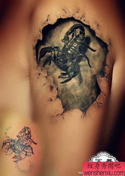 手臂经典很酷的写实蝎子纹身图案