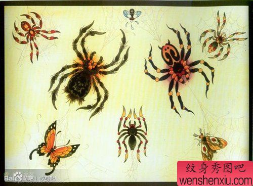 流行流行的一组蜘蛛纹身手稿