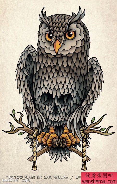 很酷经典的猫头鹰纹身手稿