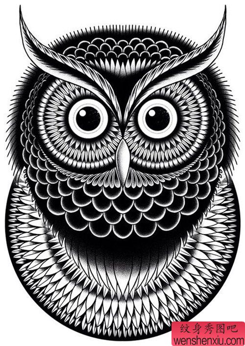 流行很帅的一幅猫头鹰纹身手稿