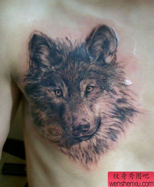 男生胸前很酷流行的狼头纹身图案
