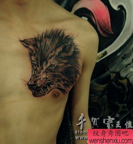 男生胸前一幅很帅凶悍的狼头纹身图案