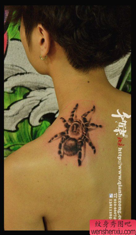 肩膀处一幅流行经典的蜘蛛纹身图案