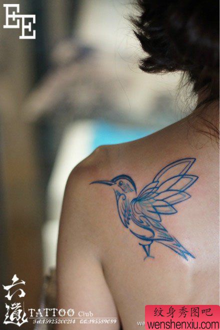 女生肩背流行流行的图腾蜂鸟纹身图案