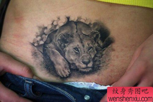 女生腹部流行经典的狮子纹身图案
