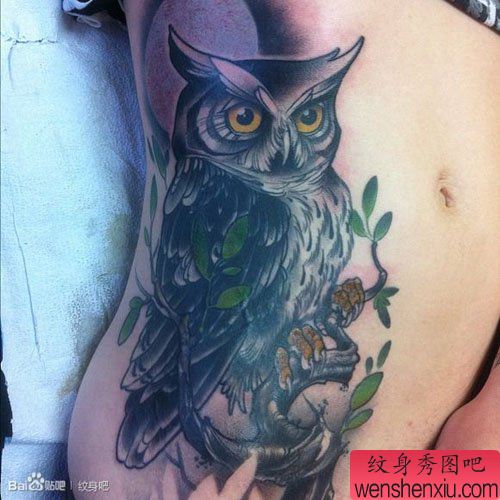 美女侧腰流行很酷的猫头鹰纹身图案