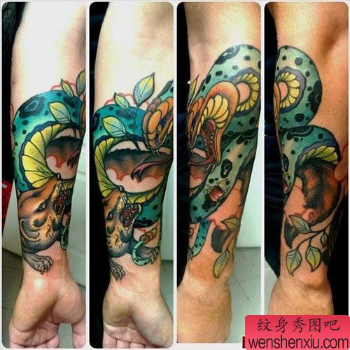 手臂很帅经典的蛇纹身图案