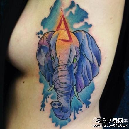 美女侧胸经典流行的大象纹身图案