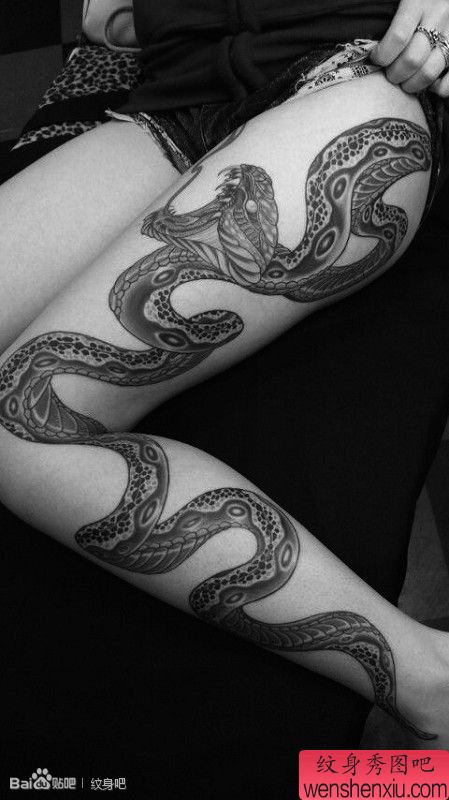 美女腿部流行很帅的蛇纹身图案