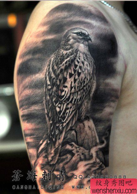 手臂流行很酷的一幅老鹰纹身图案