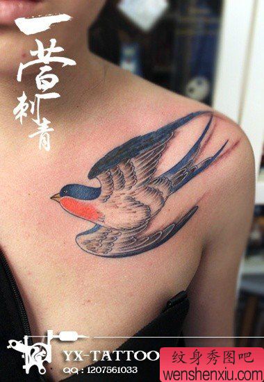 女生胸前漂亮流行的小燕子纹身图案