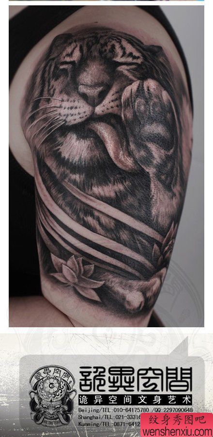 手臂一幅可爱温顺的老虎纹身图案