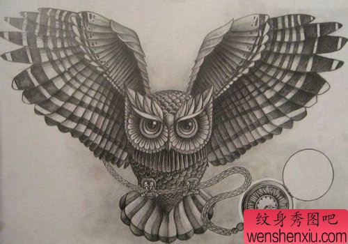 流行很帅的一幅黑白猫头鹰纹身手稿