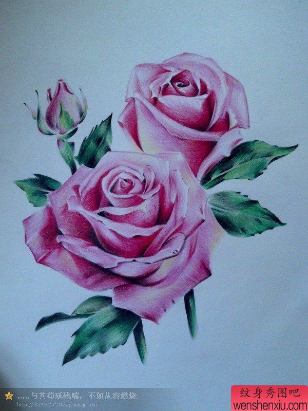 一幅非常漂亮的一幅玫瑰花纹身手稿