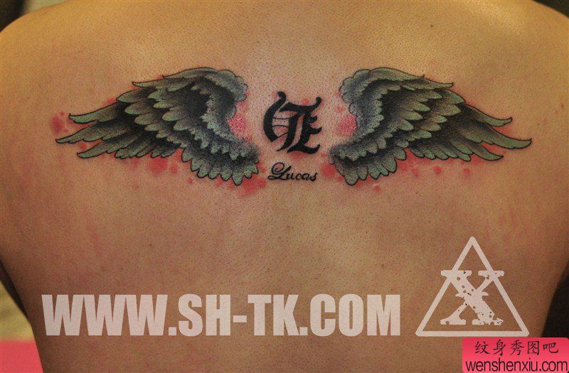 为大家推荐一幅彩色翅膀纹身图案