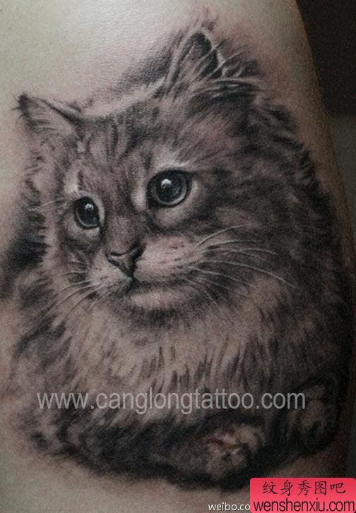 一幅可爱小猫咪纹身图案