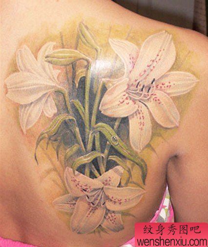 美女后背上一幅白百合纹身作品