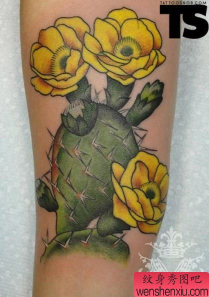 小臂上一幅彩色的仙人掌花纹身作品