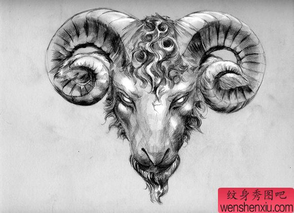 推荐一幅个性的羊头纹身手稿