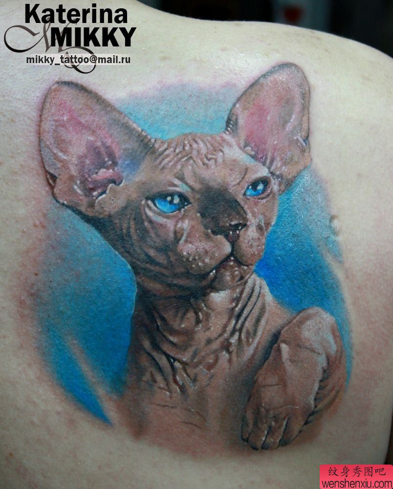 后背一幅写实的猫咪纹身作品