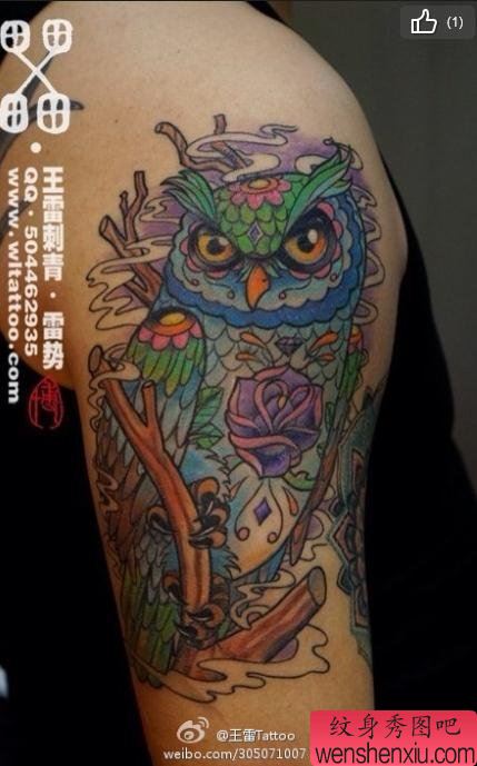 一幅漂亮的猫头鹰纹身图案