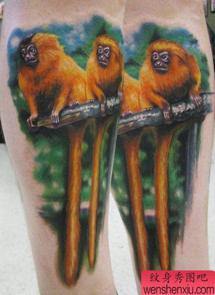 一幅逼真的金丝猴纹身图案