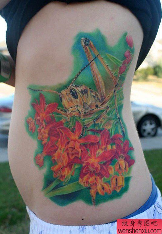 美女侧腰上一幅彩色螳螂纹身图案