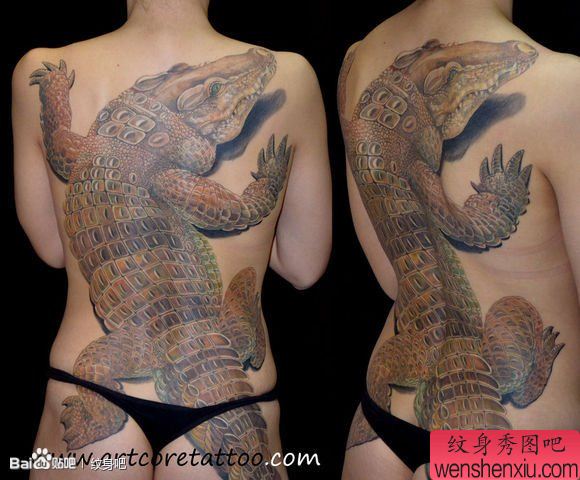 一幅美女满背鳄鱼纹身图案