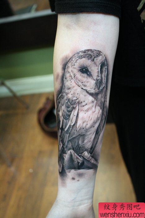 推荐小臂上一幅猫头鹰纹身图片