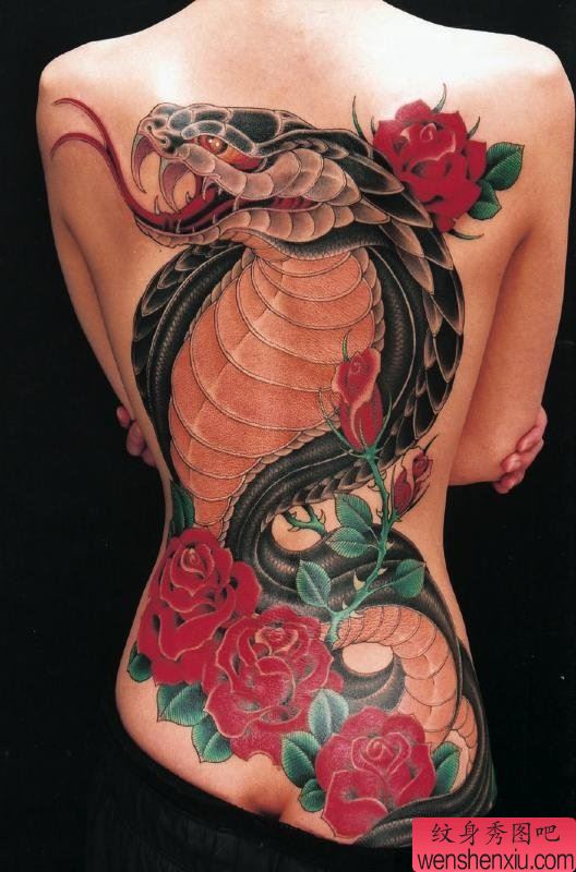 一幅满背眼镜蛇纹身图案