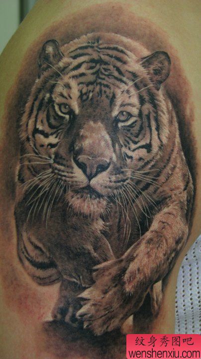 大臂老虎纹身图案