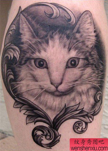 一幅可爱的猫咪纹身图案