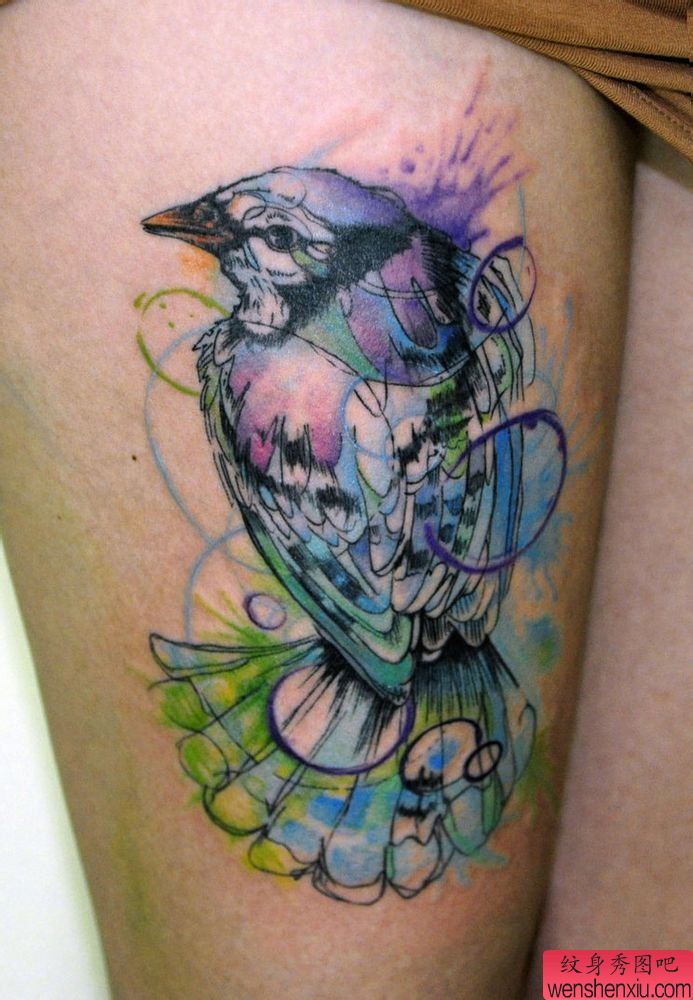 一幅概念小鸟纹身图案