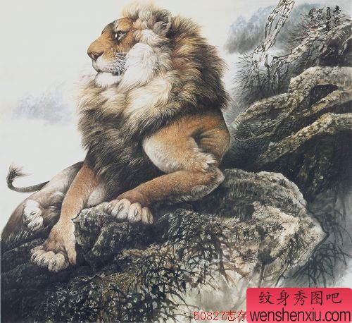 一幅霸气狮子纹身手稿