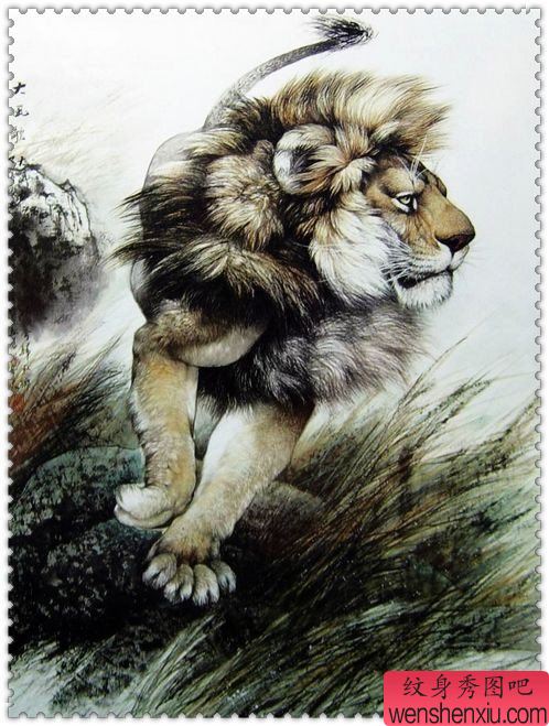 纹身秀图吧推荐一幅狮子纹身手稿