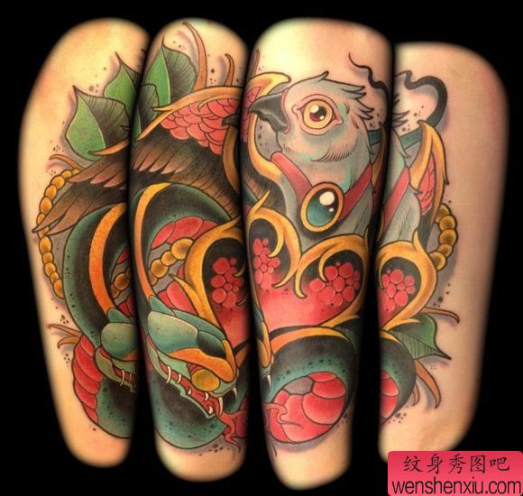 老兵纹身为大家一幅school风格鸟纹身图案