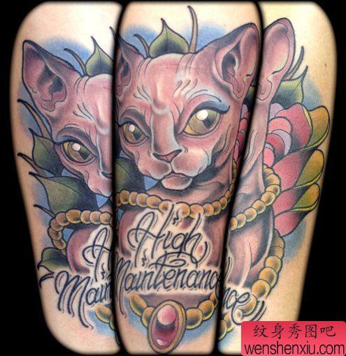 一幅个性的school风格猫纹身图案