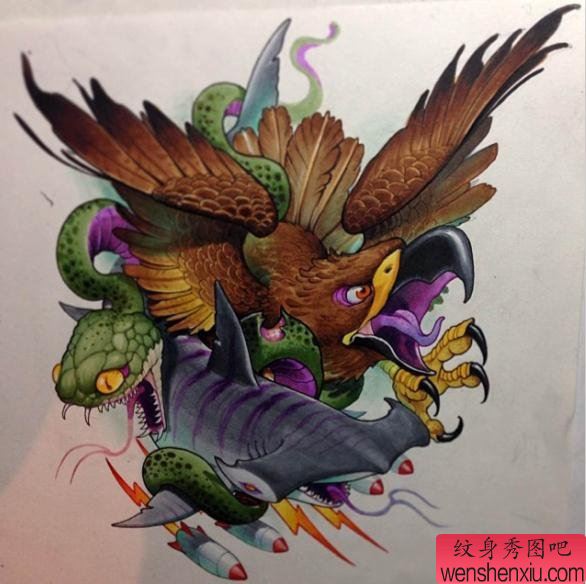 推荐一幅school风格老鹰鲨鱼纹身手稿