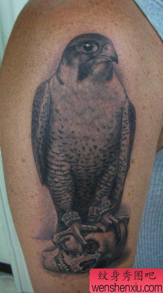 为大家上一幅大臂老鹰纹身作品