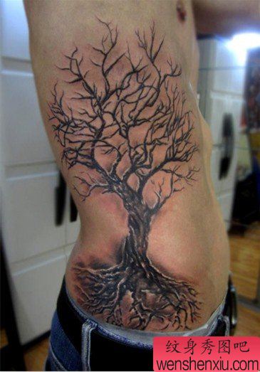 纹身秀图吧推荐一幅侧腰树纹身图片