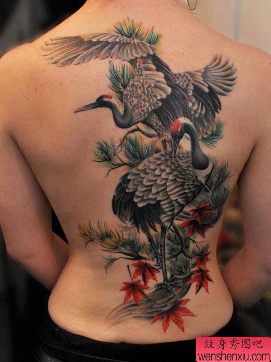 一幅非常经典的满背仙鹤纹身作品