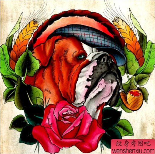 一幅school风格沙皮狗纹身手稿