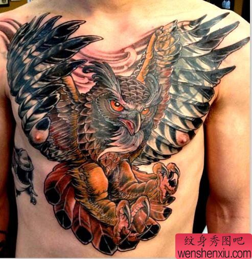 胸口一幅流行的猫头鹰纹身作品