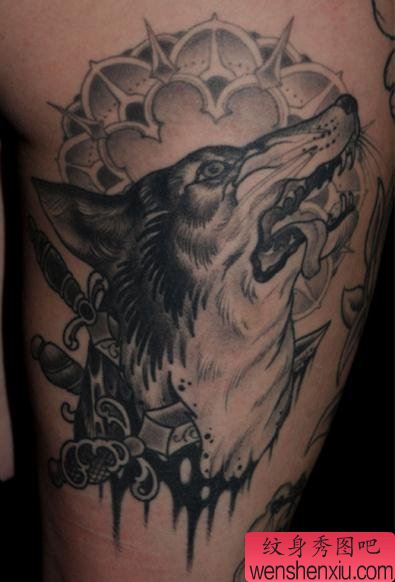 老兵纹身秀图吧一幅狼头纹身作品