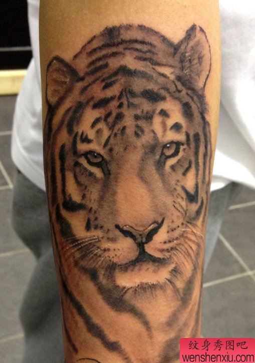 老兵纹身一幅老虎纹身作品