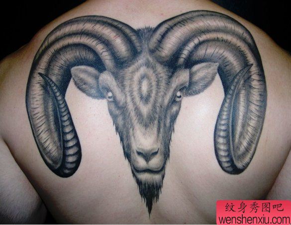 推荐一幅流行个性的羊头纹身作品