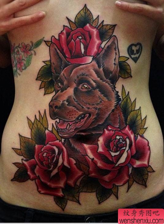腹部上一幅school风格玫瑰花狗纹身作品